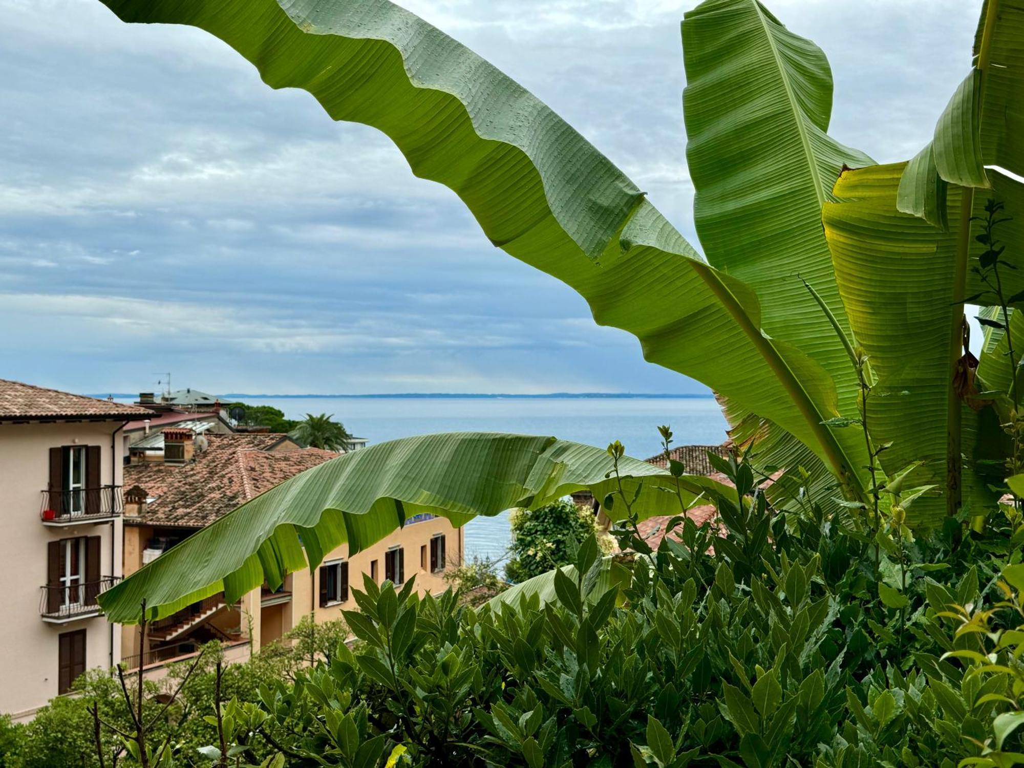 Casa Dolce Vita, Seeblick トスコラーノ・マデルノ エクステリア 写真
